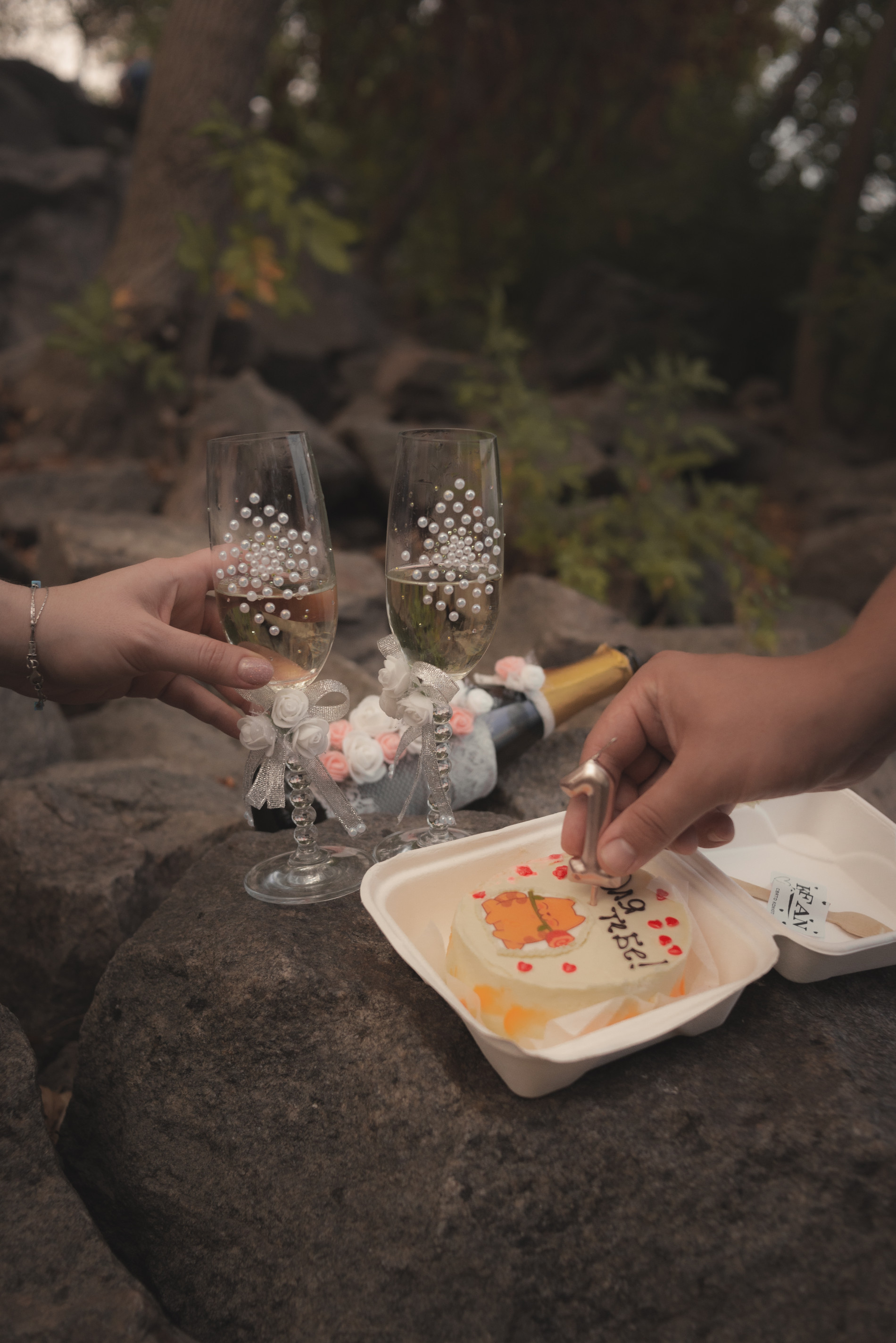 Річниця Тетяни та Іллі